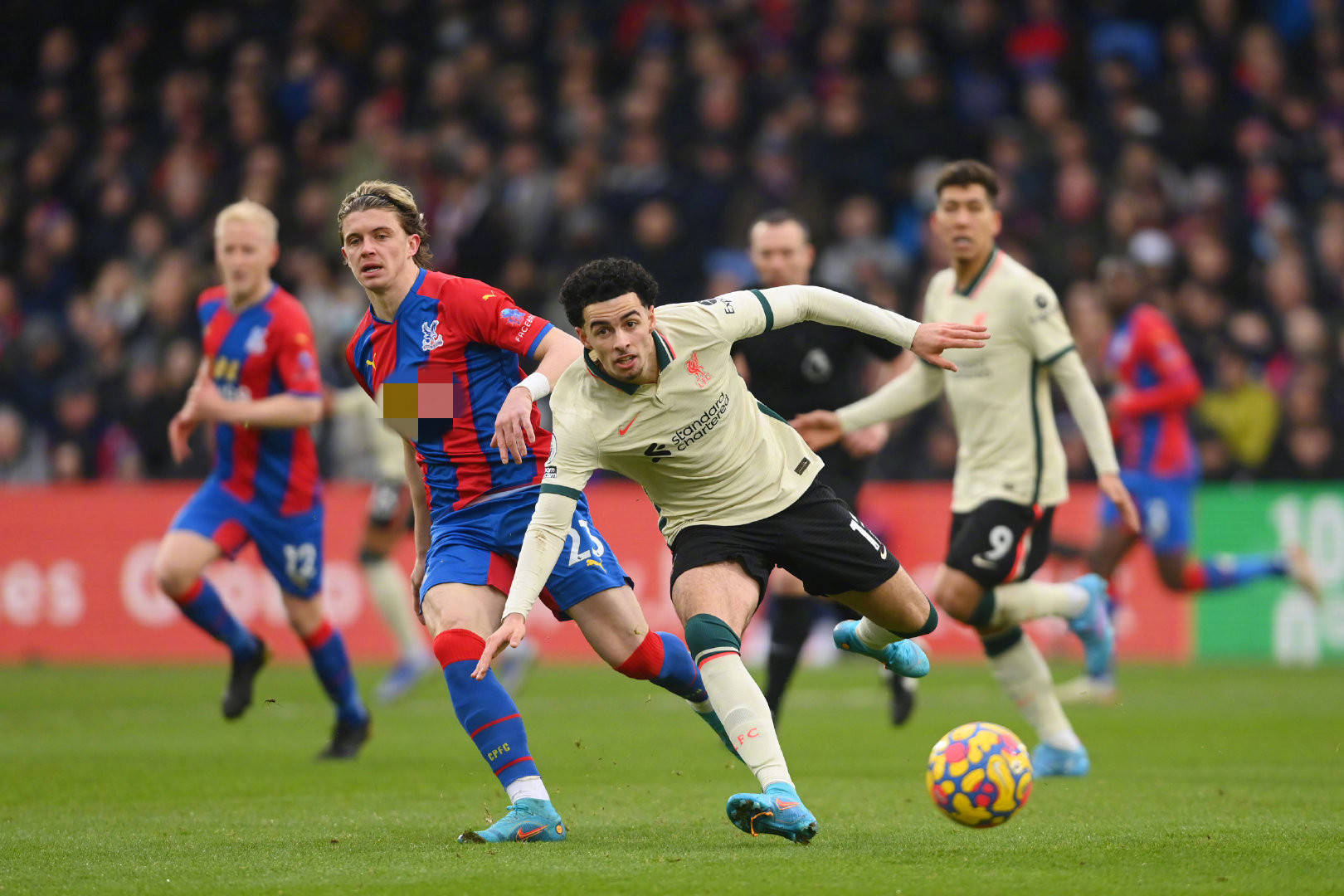 不论是老将 不论是老将