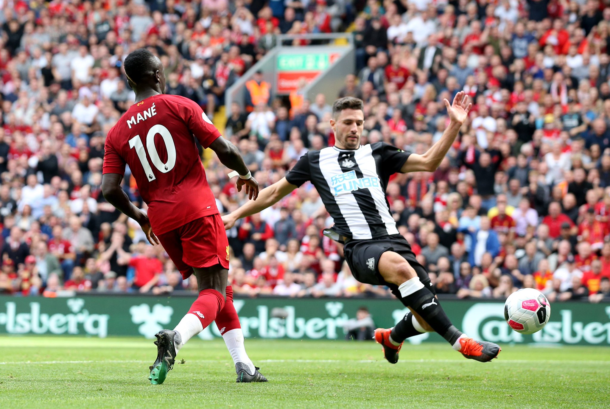 的明星球员 的明星球员